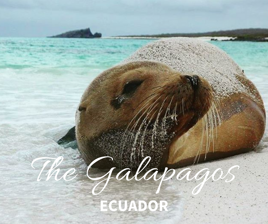 galapagos