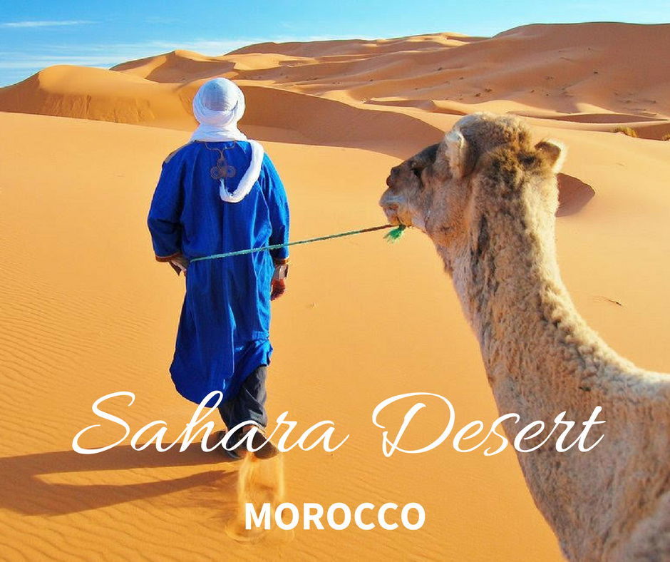 sahara desert