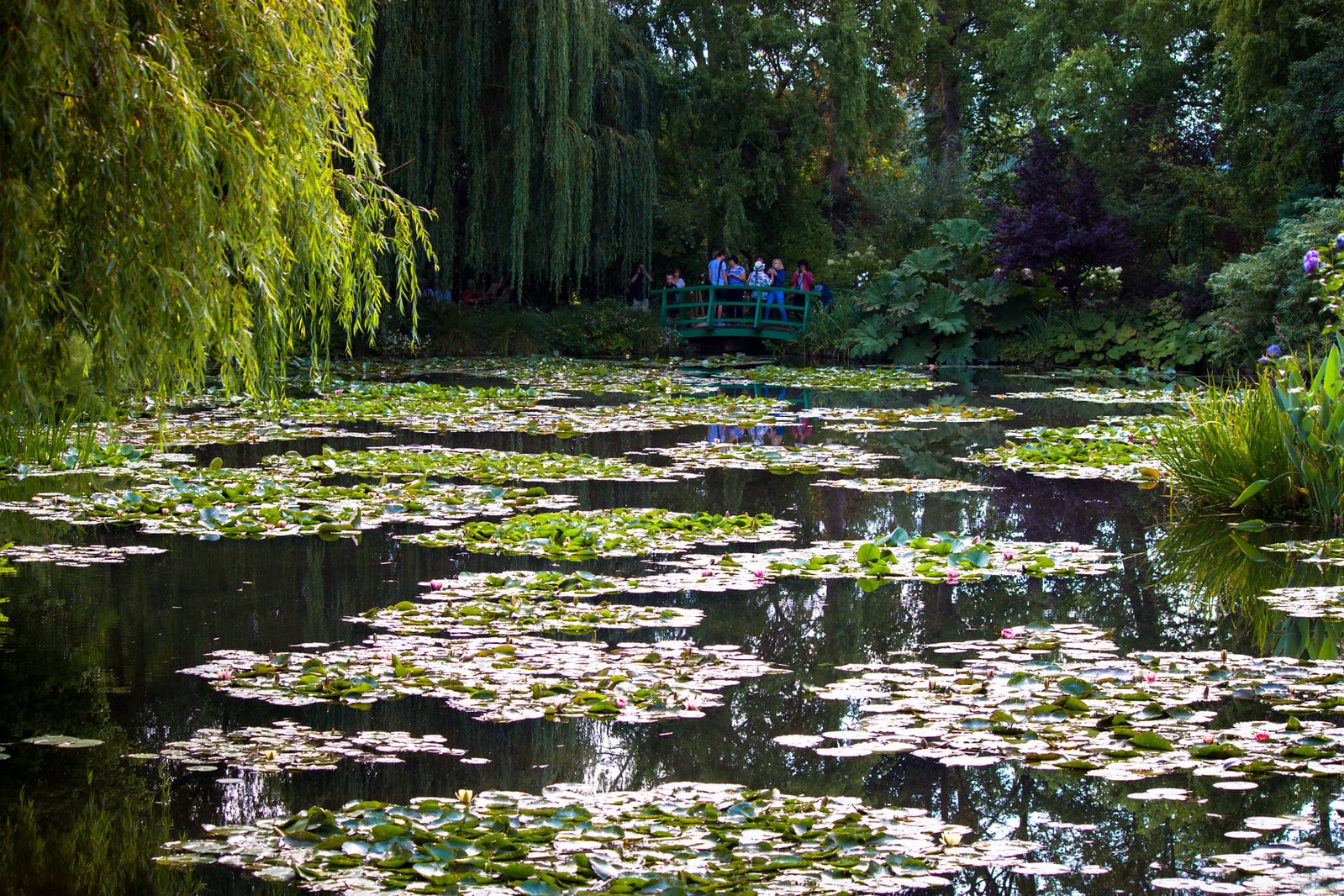 Monet Garden Things to Do in France