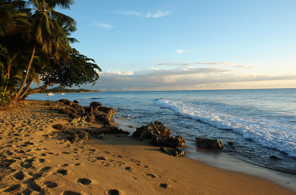 Rincon Places to Visit in Puerto Rico