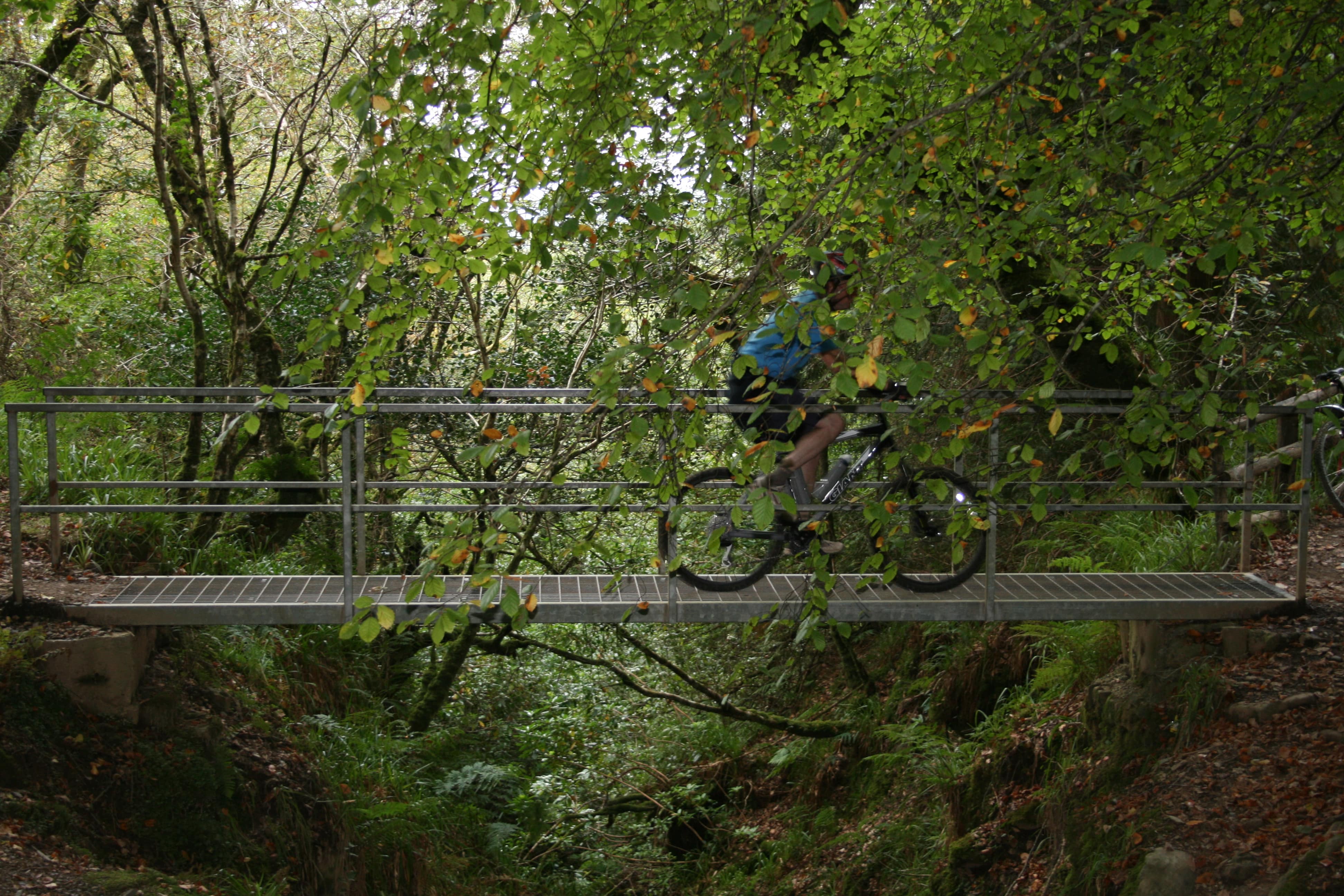 Biking in Ballyhoura is a great thing to do in Limerick