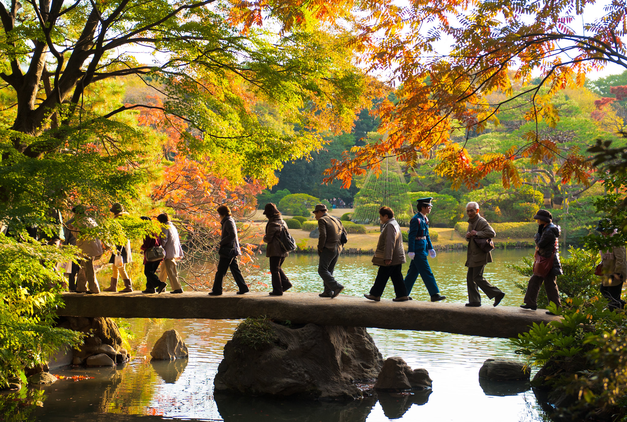 Nature Cool Things to Do in Tokyo