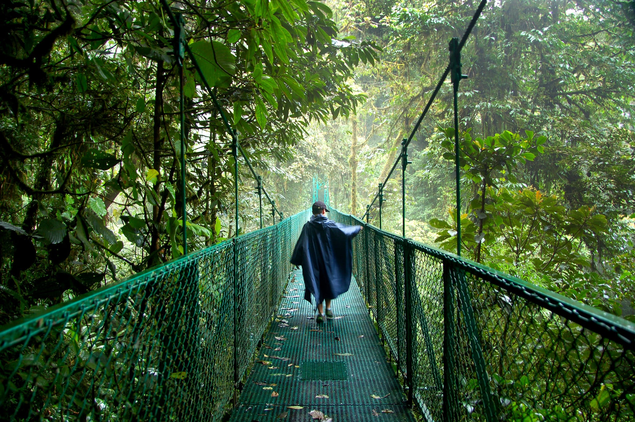 Where to stay in Costa Rica for amazing nature? Monteverde
