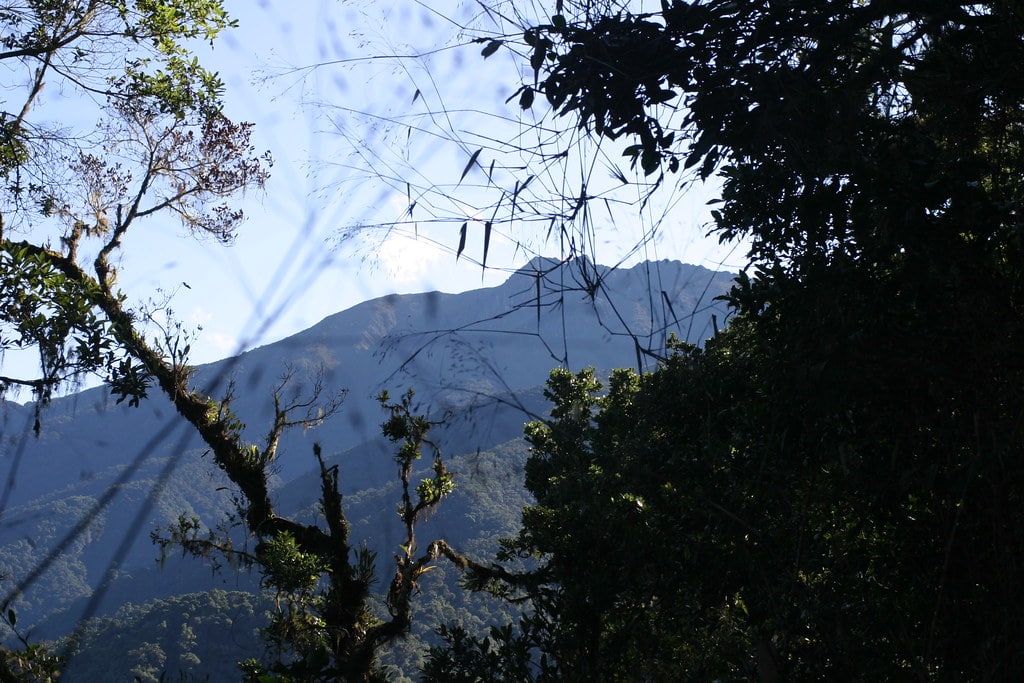 Exploring Cerro Chirripó National Park is one of the best things to do in Costa Rica