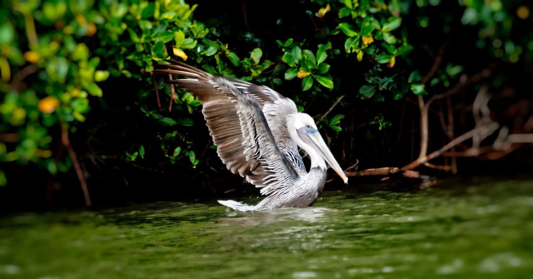 La Parguera Puerto Rico