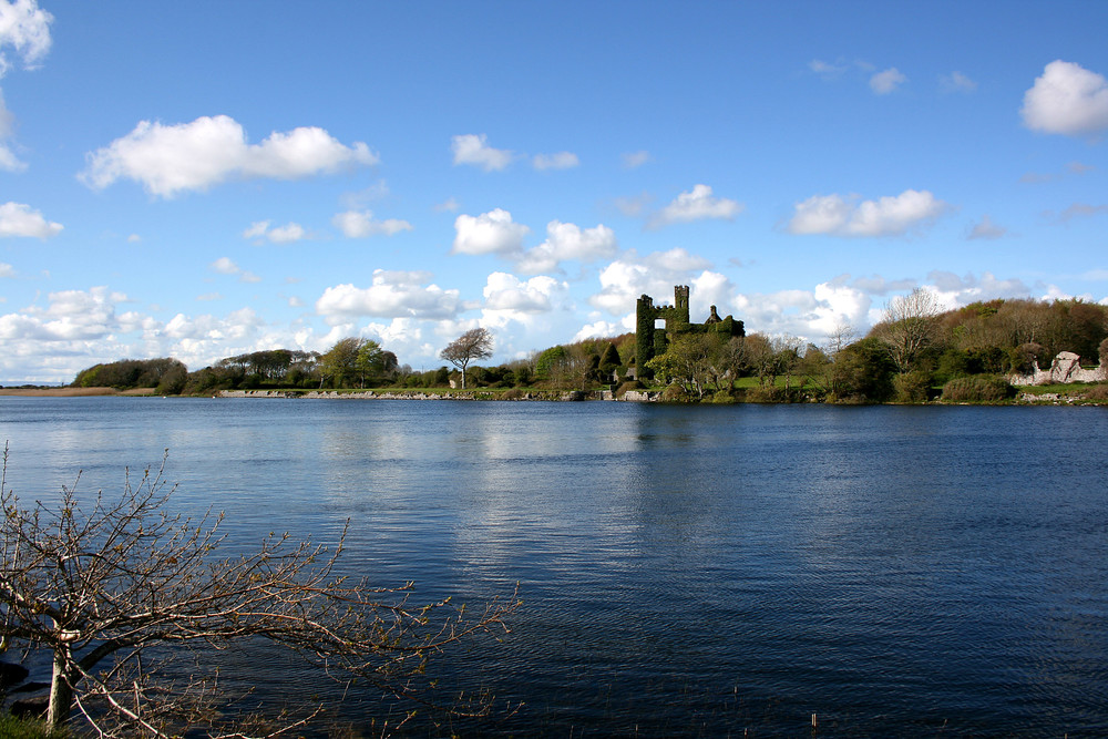 Visiting Menlo Castle is a unique thing to do in Ireland