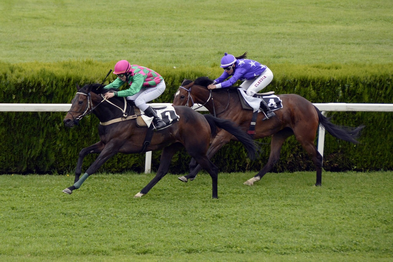 Going to the races is a fun thing to do in Galway Ireland