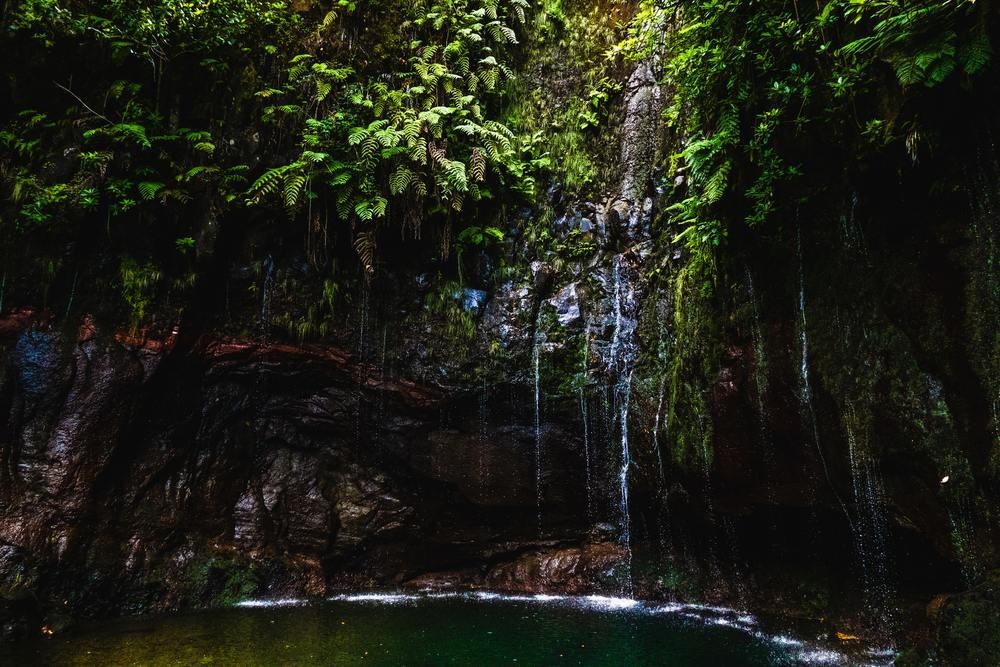 Waterfall Is It Safe to Travel to Madeira