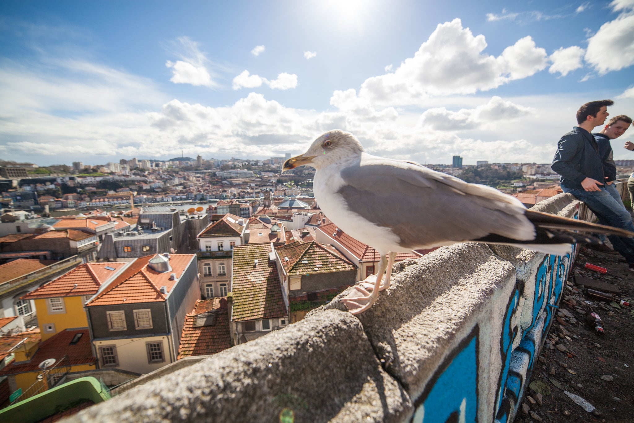 Climbing a miradouro is an amazing thing to do in Portugal