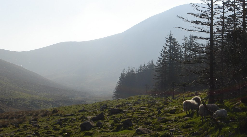 Camping in the Mourne Mountains is one of the coolest things to do in Northern Ireland