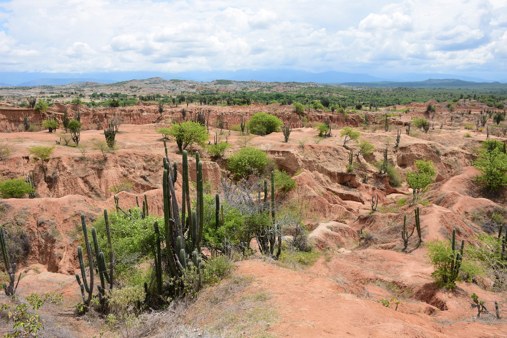 Tatacoa Desert Day Trips from Bogota