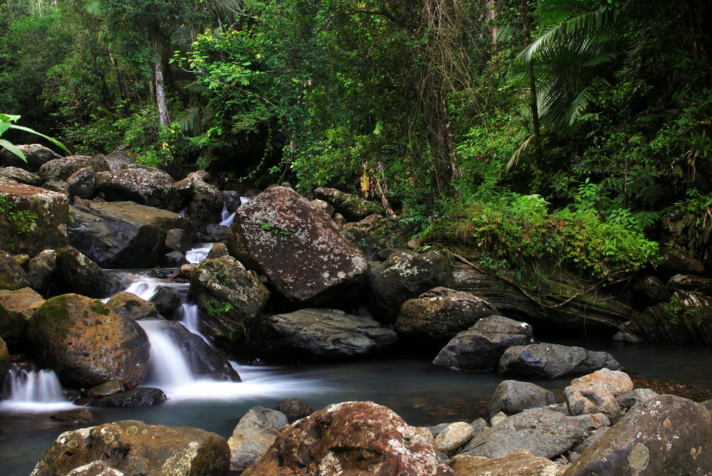 El Yunque Places to Visit in Puerto Rico