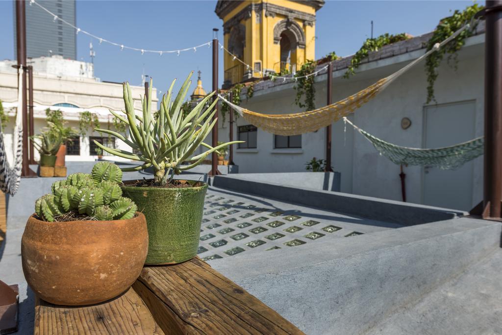 The generous rooftop at Chaya B&B makes it one of the best places to stay in Mexico City