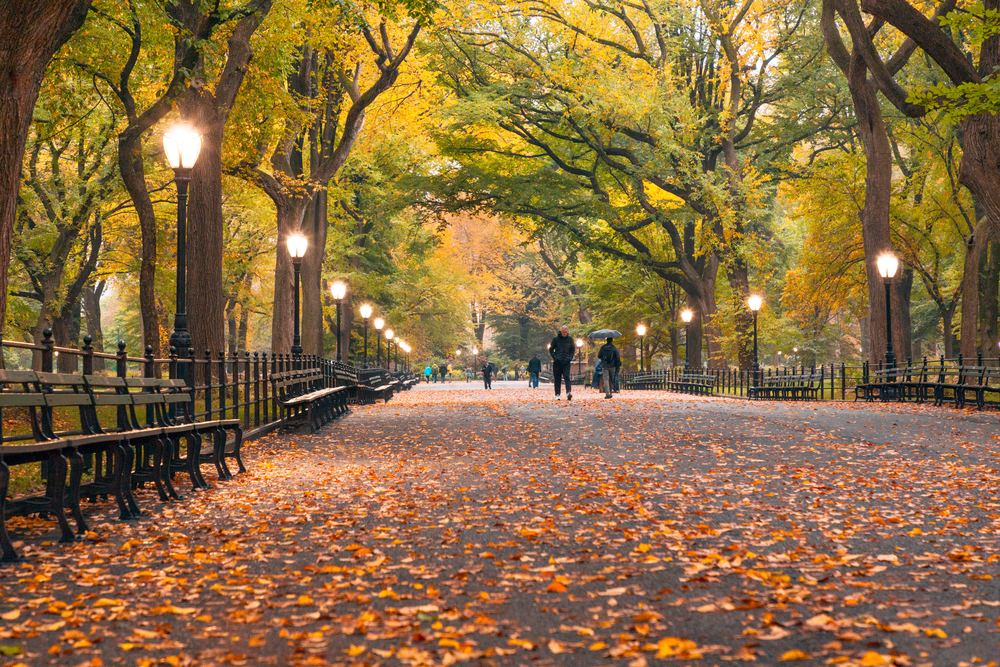 Fall Best Time to Visit New York