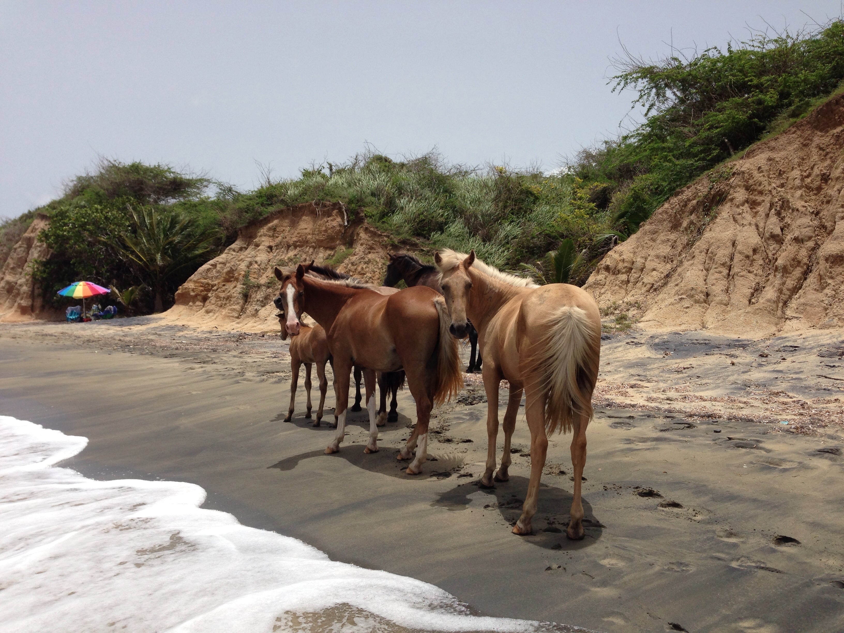 Fajardo is a recommendation from TripAdvisor Puerto Rico