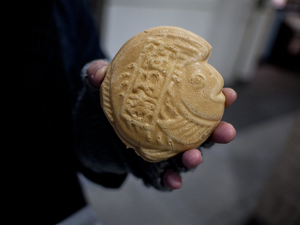 Taiyaki Food to Bring Home From Japan