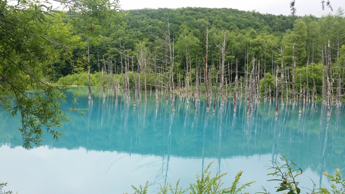 Hokkaido is one of the best places to visit in Japan