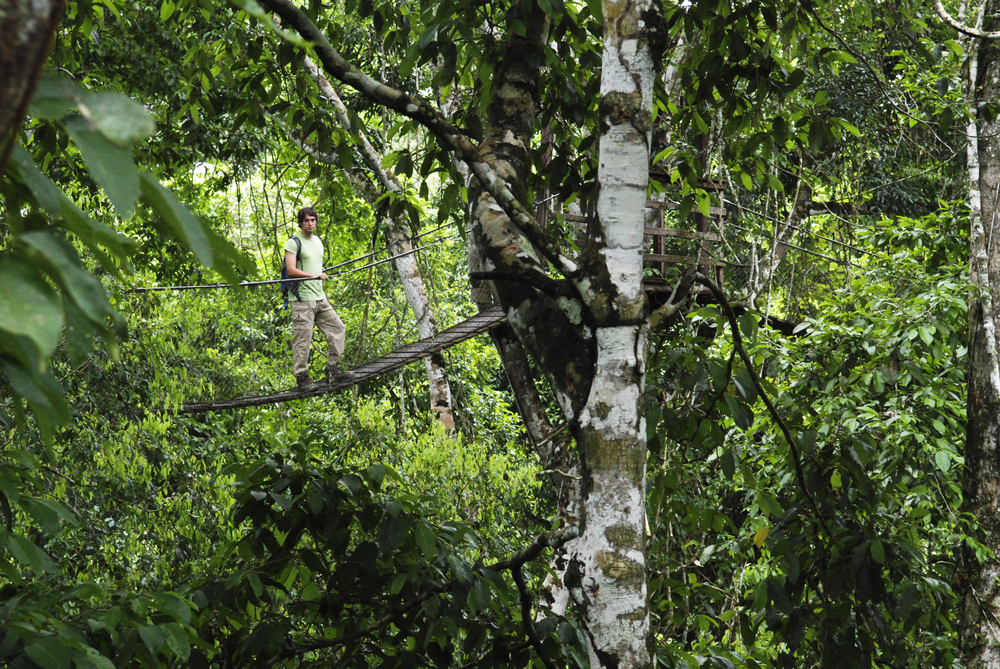 Walking through the trees is one of the best things to do in Peru