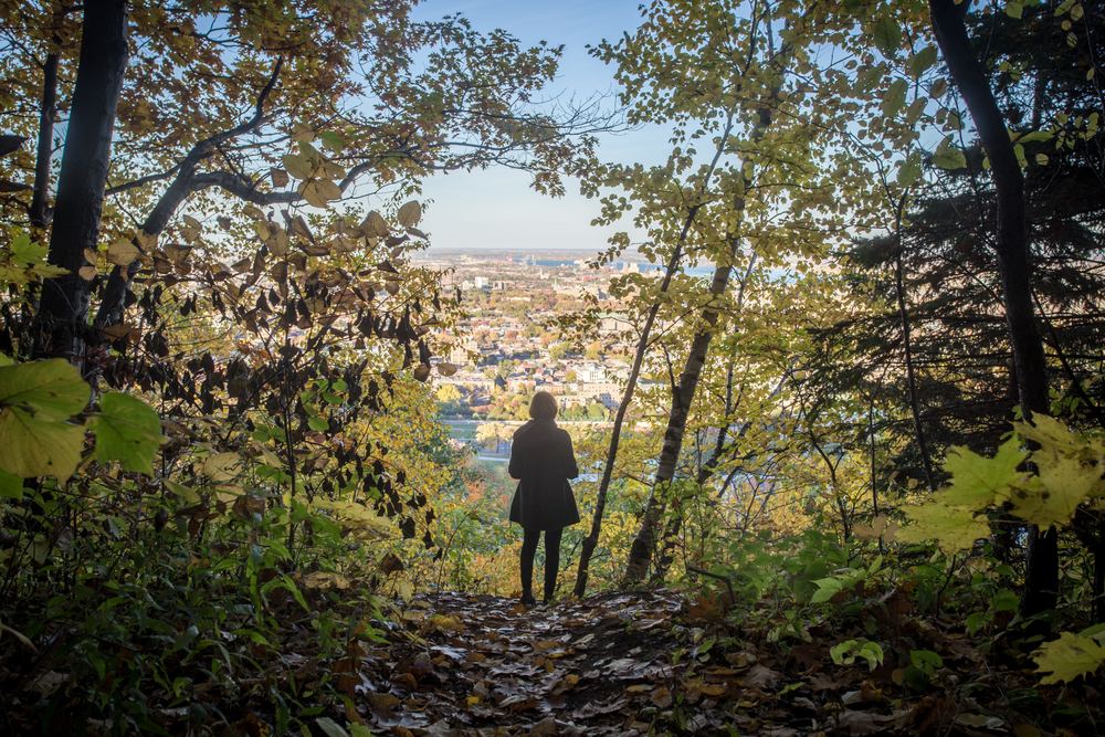 Parc du Mont Royal is one of the top places to visit in Montreal