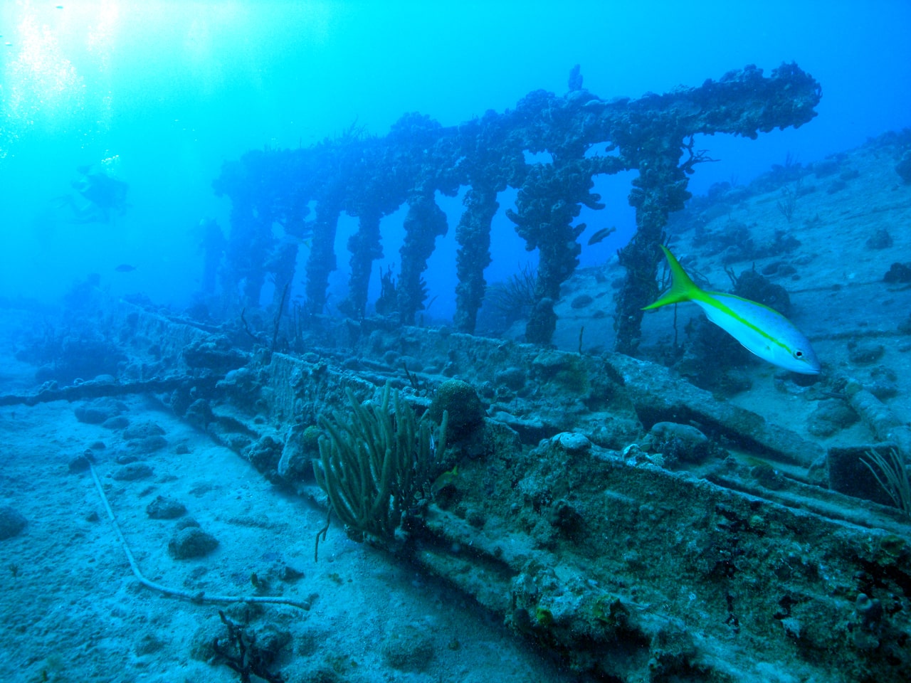 Seeing shipwrecks is one of many Puerto Rico tours