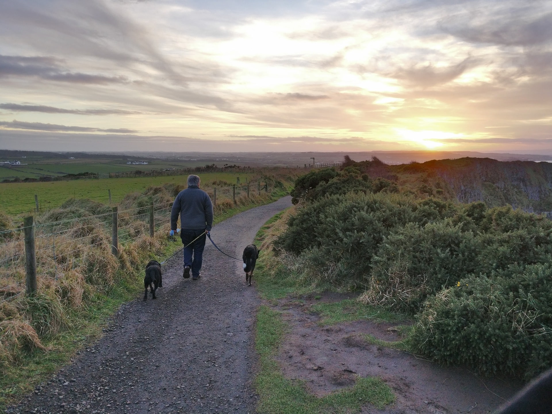 Walking Trails Things to Do in Shannon Ireland