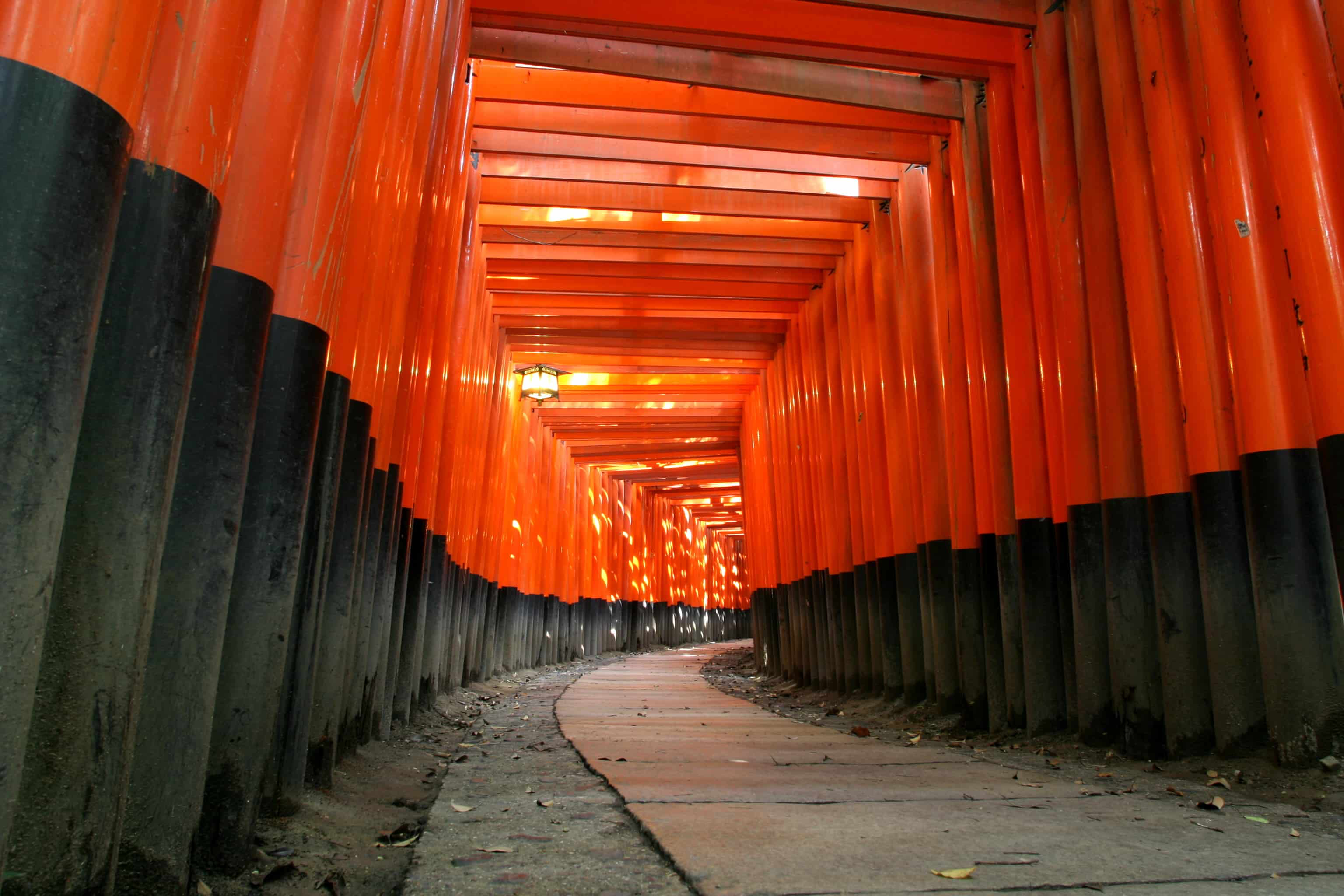 fushimi inari taisha where to go japan