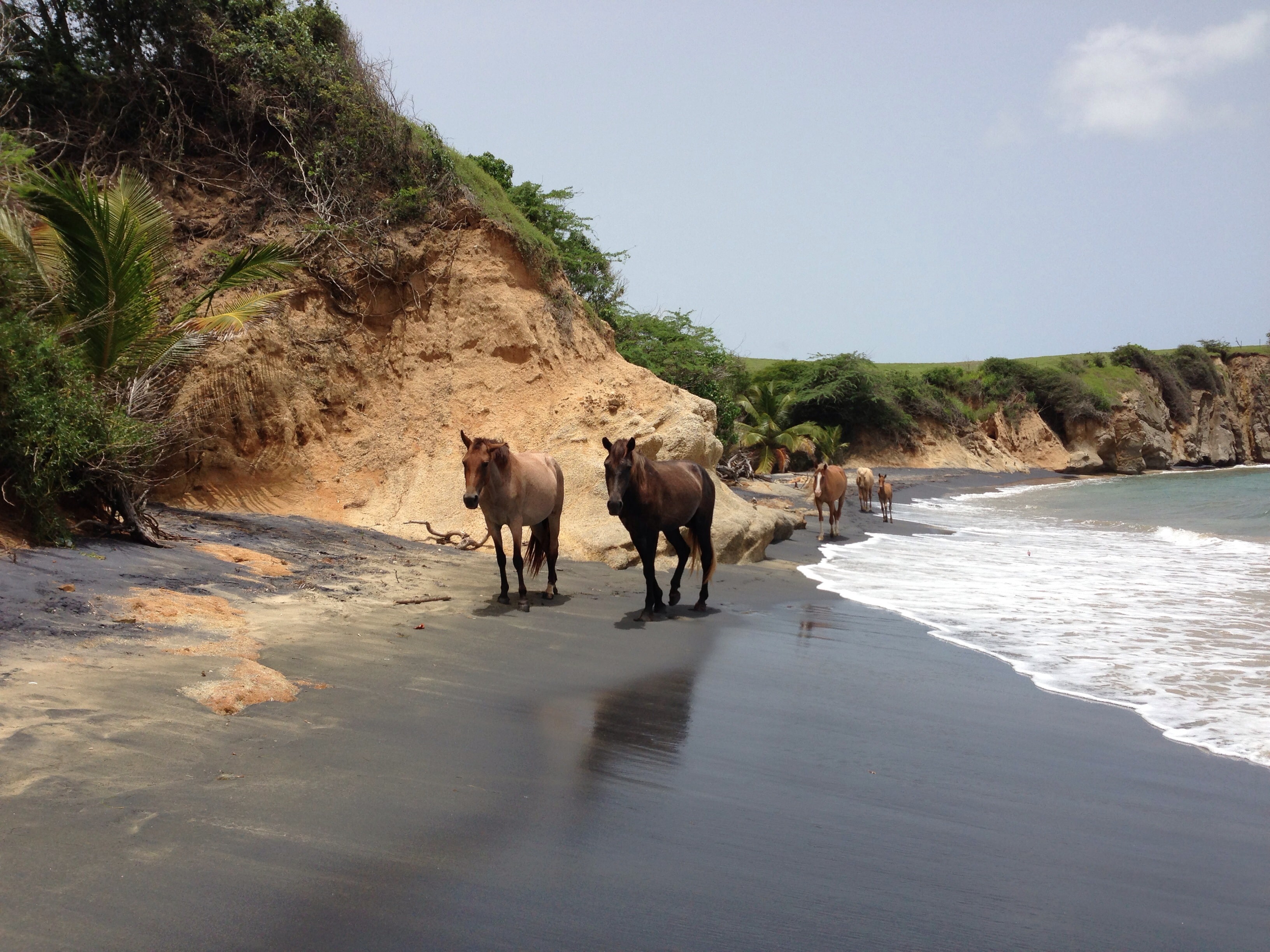 Vieques' gorgeous beaches are amazing points of interest in Puerto Rico