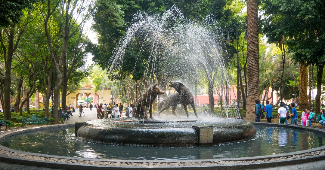 Coyoacan Places To Visit In Mexico City