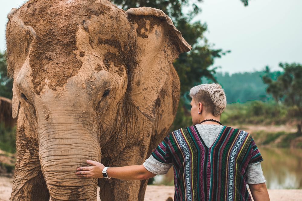 Befriending elephants is one of the best things to do in Thailand