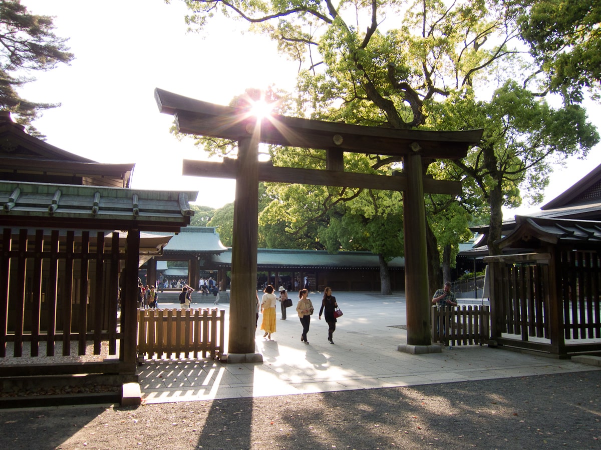 Making a wish at the Meiji Shrine is what to do in Shibuya Japan