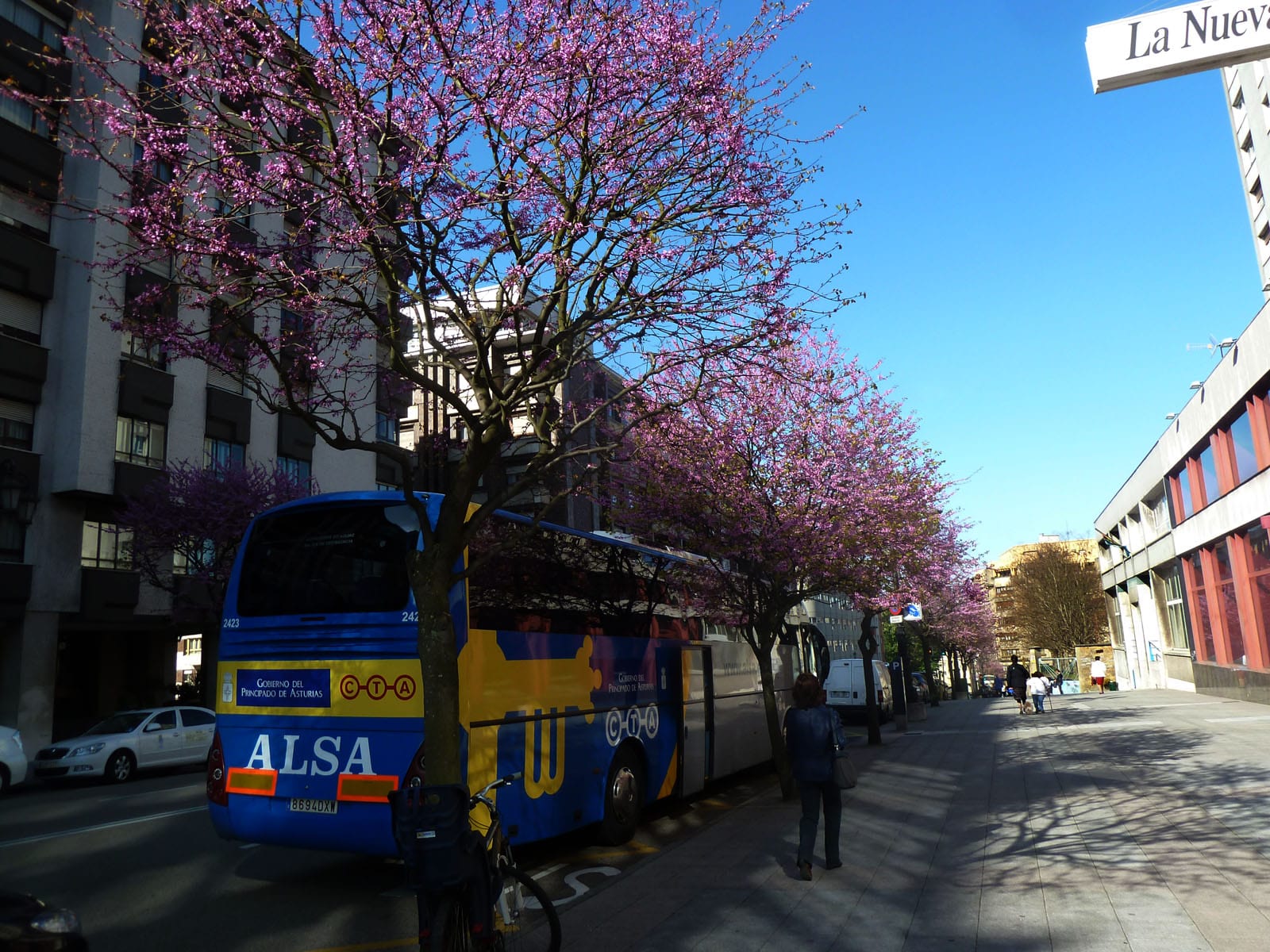 Coach bus Spain transportation