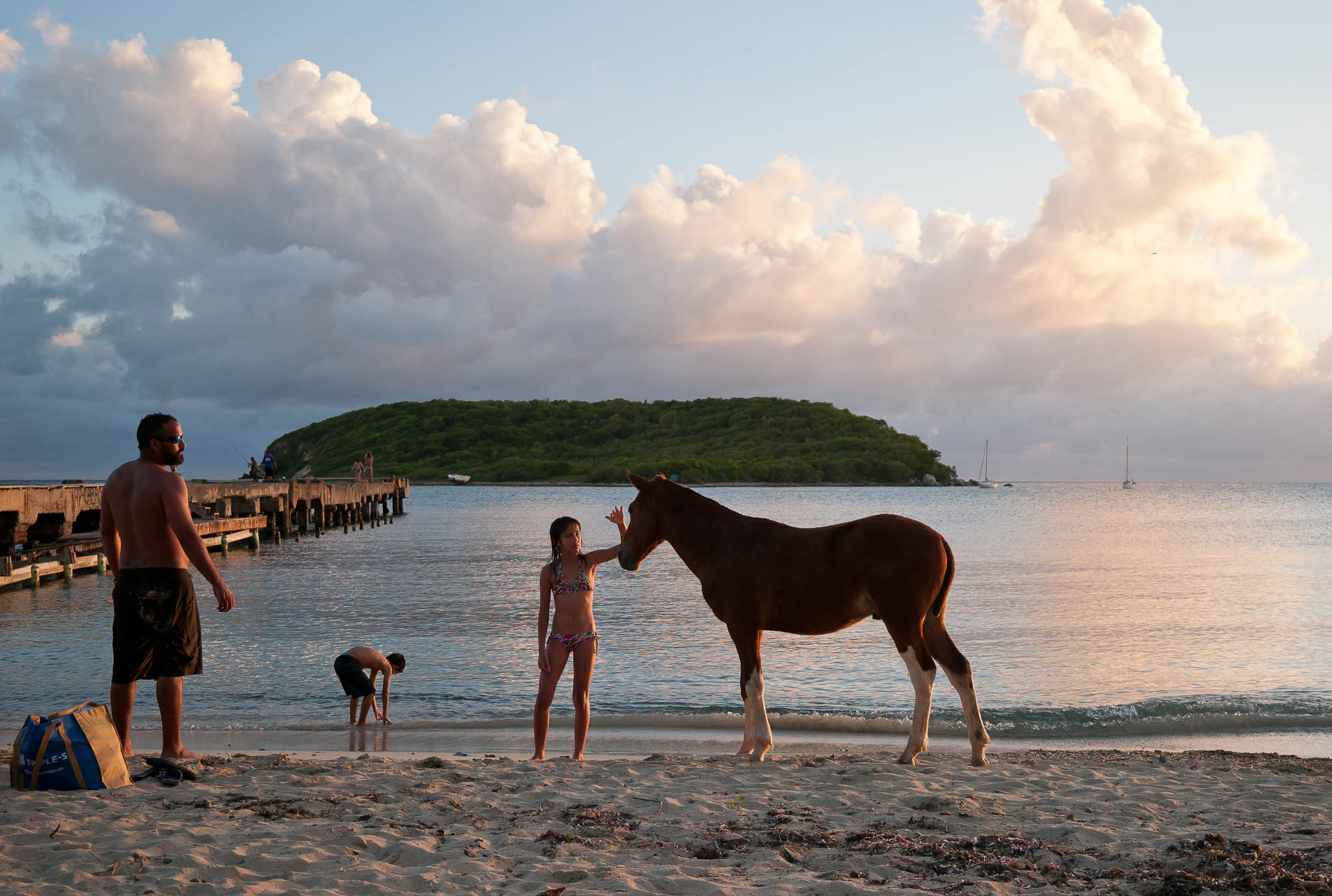 Nature Things to do in Puerto Rico with Kids