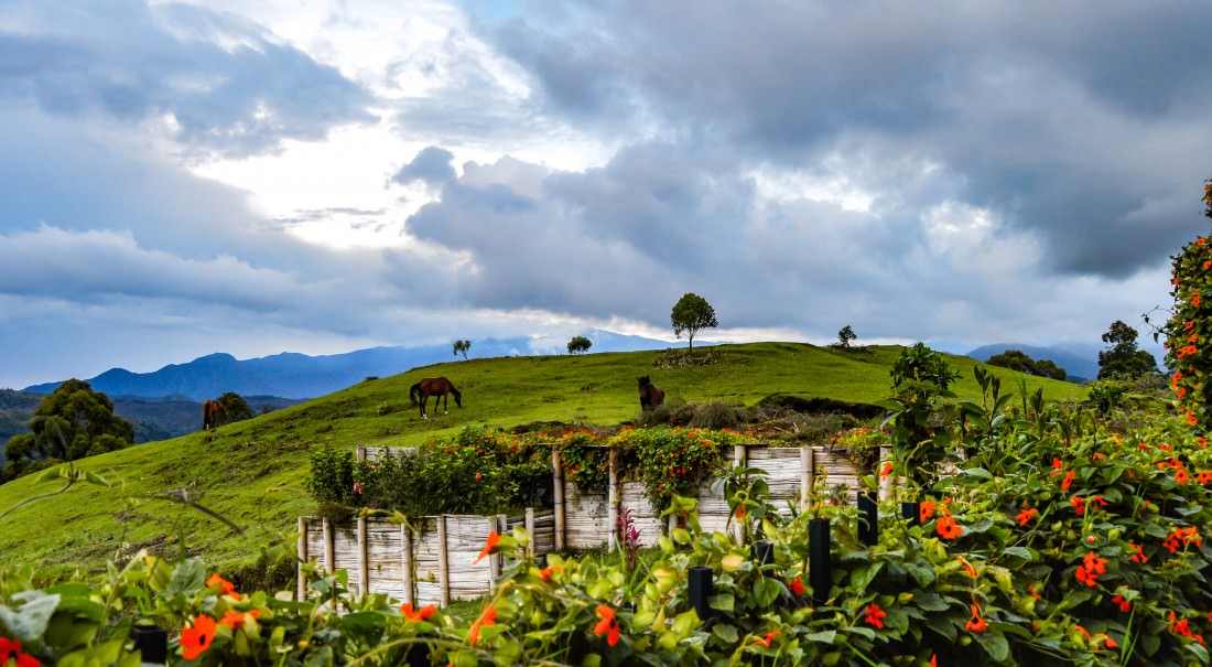 Horseback Solento Colombia