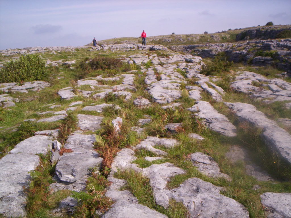 Burren Things to Do in Shannon Ireland